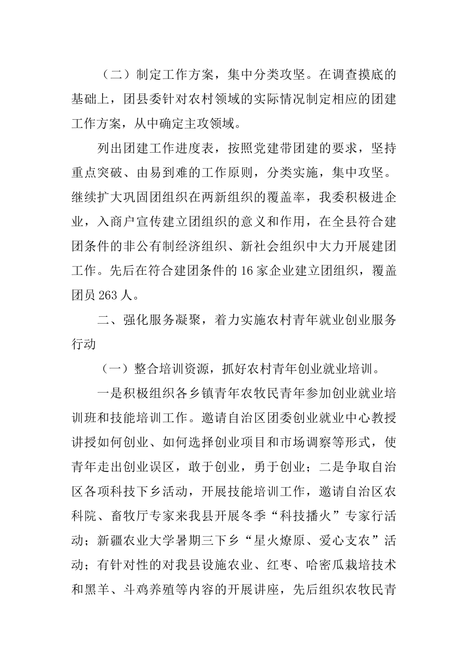 农村团支部工作总结_第2页