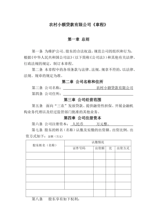 农村小额贷款有限公司