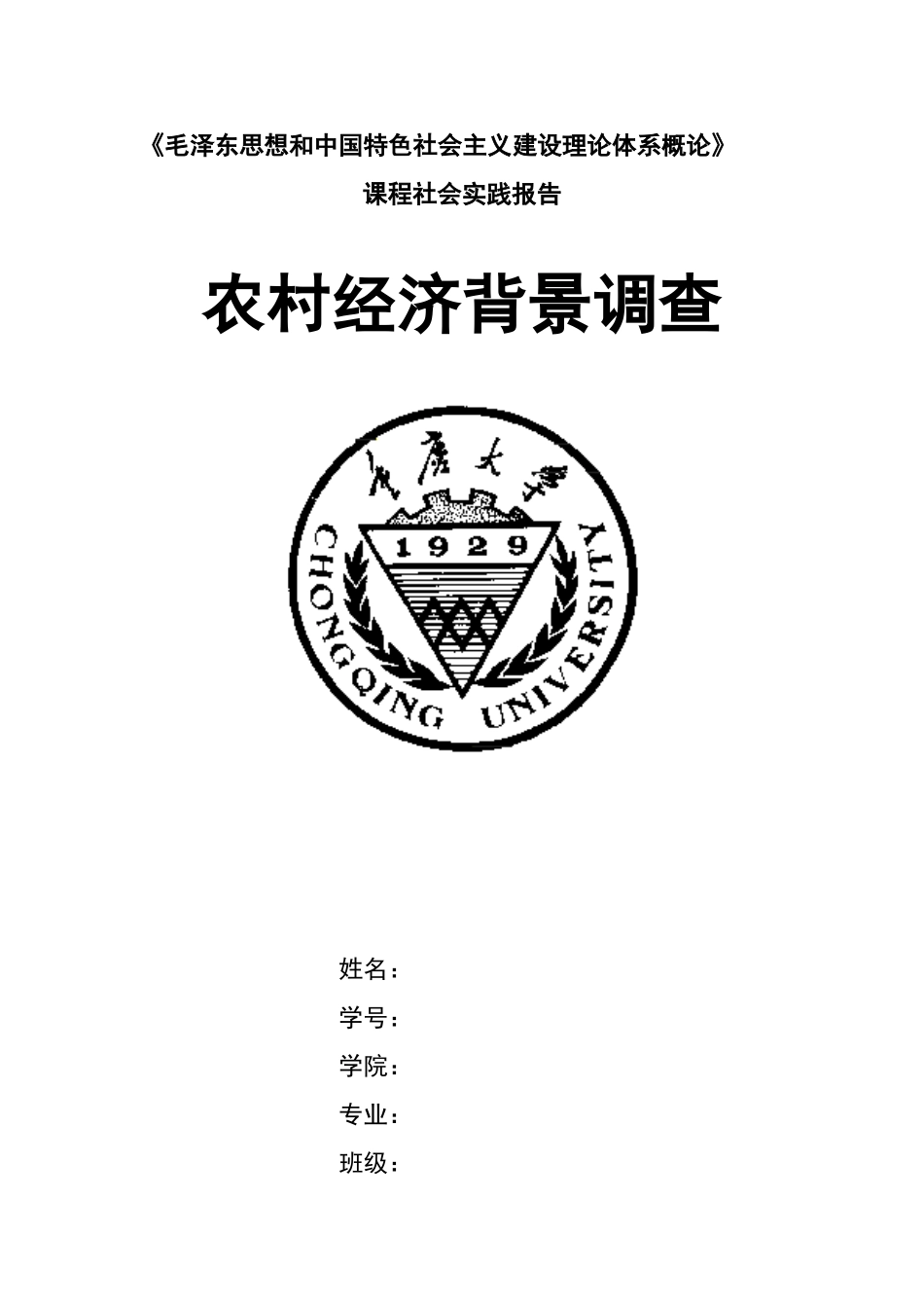农村家庭情况调查表_第1页