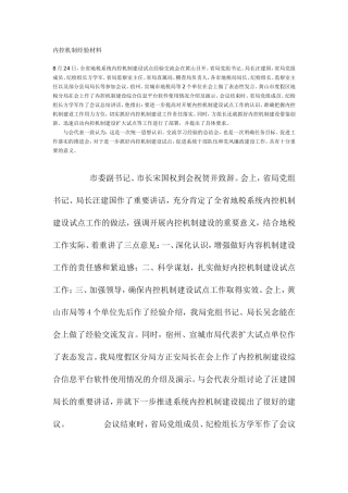 内控机制经验材料