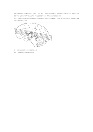 内囊和基底节的血供