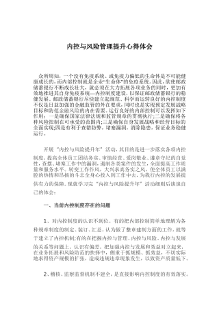 内控与风险管理提升心得体会