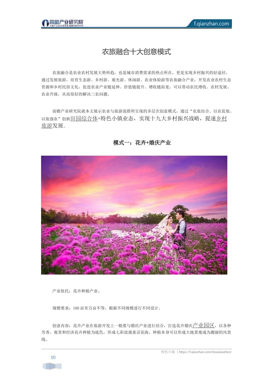 农旅融合十大创意模式_第1页
