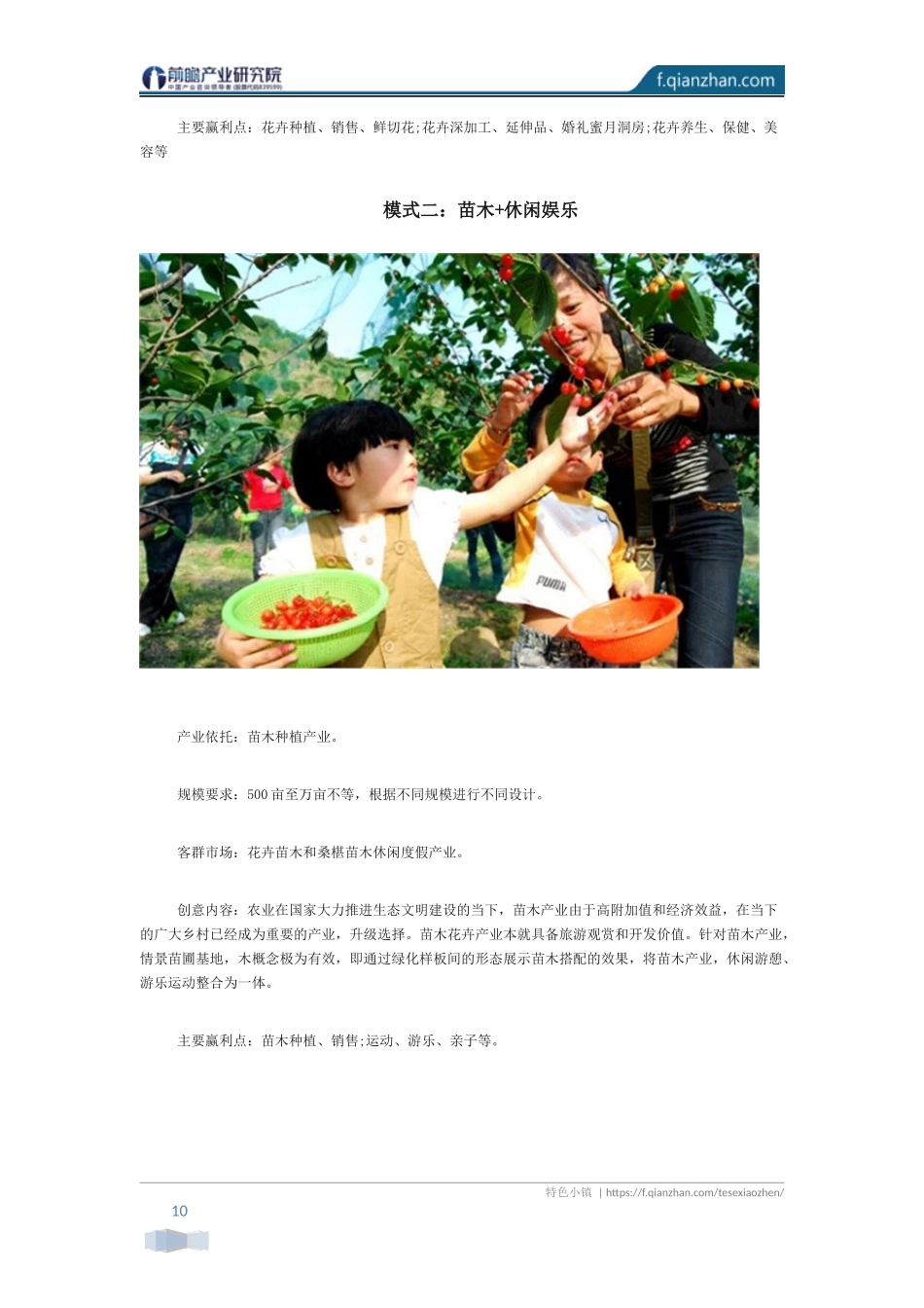 农旅融合十大创意模式_第2页