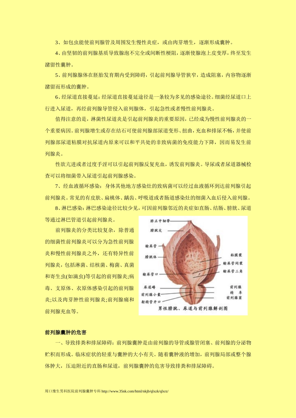 前列腺囊肿的基本常识_第3页