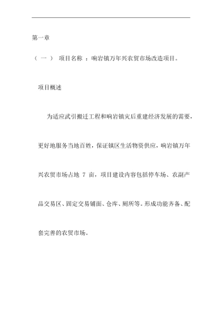 农贸市场改造项目申请报告