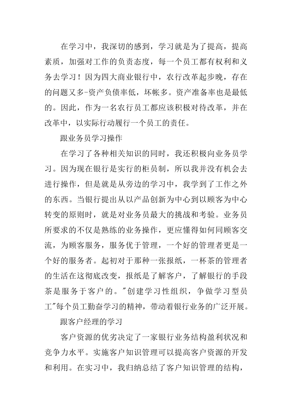 农业银行工作实习报告精选_第3页