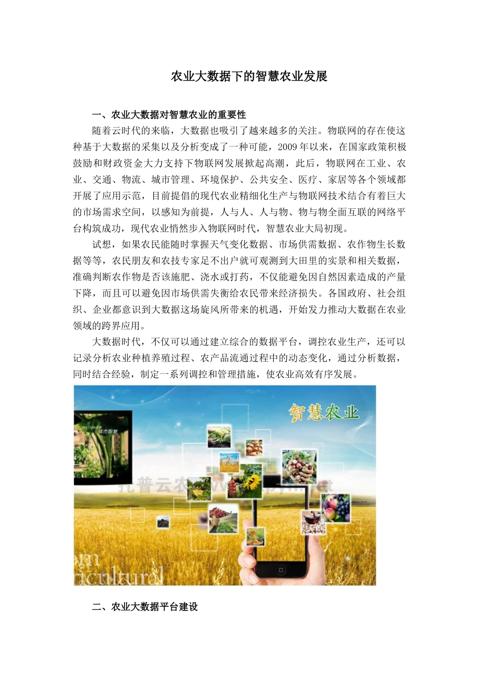 农业大数据下的智慧农业发展_第1页