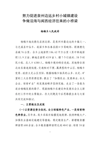努力促进泉州边远乡村小城镇建设-争做沿海与闽西经济往来的小桥梁