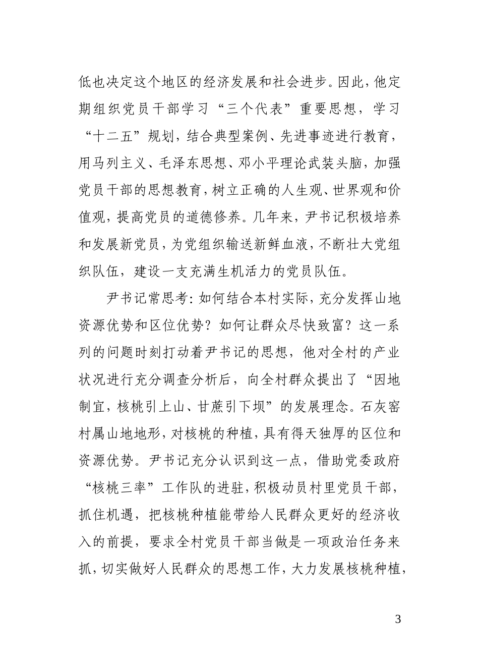 农村支部书记工作总结_第3页