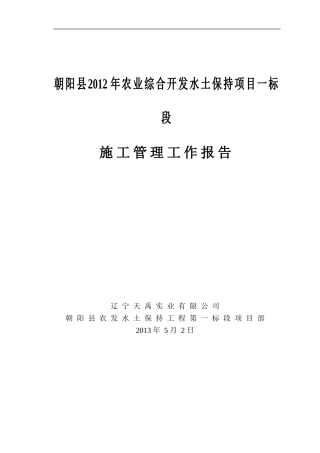 农发一标施工工作总结报告