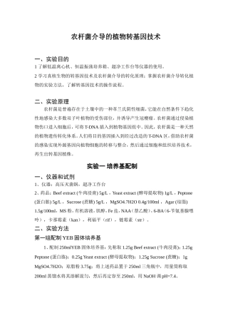 农杆菌介导的植物转基因技术实验指导