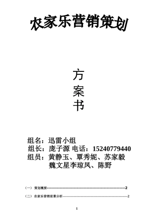 农家乐产品营销策划方案书