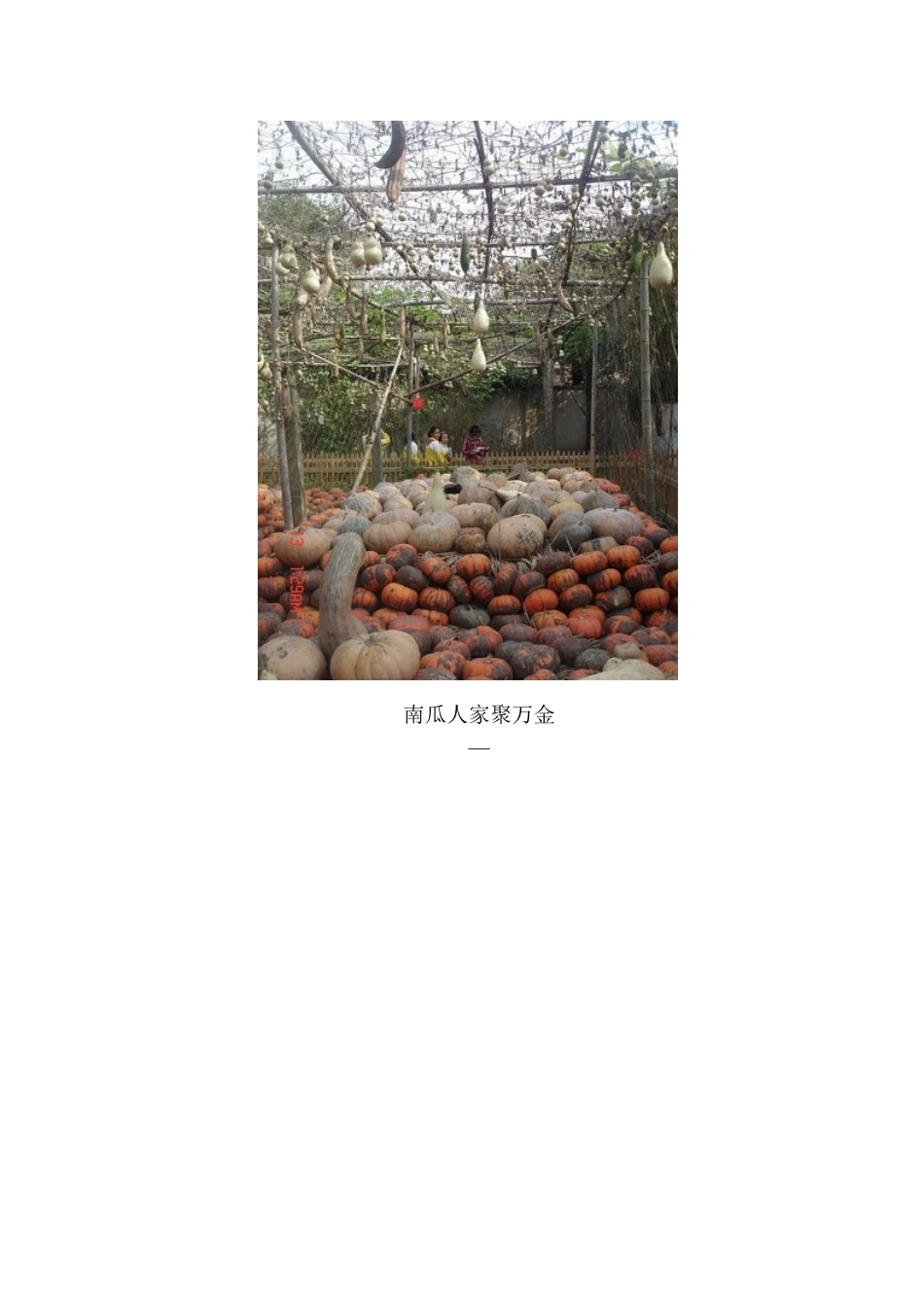 农家乐儿童实践体验方案_第2页