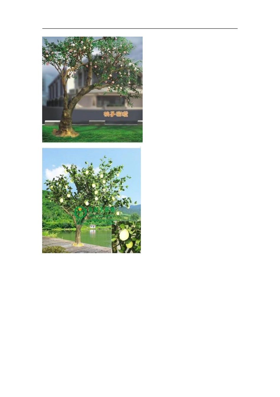 农家乐规划与投入方案(同名18317)_第2页