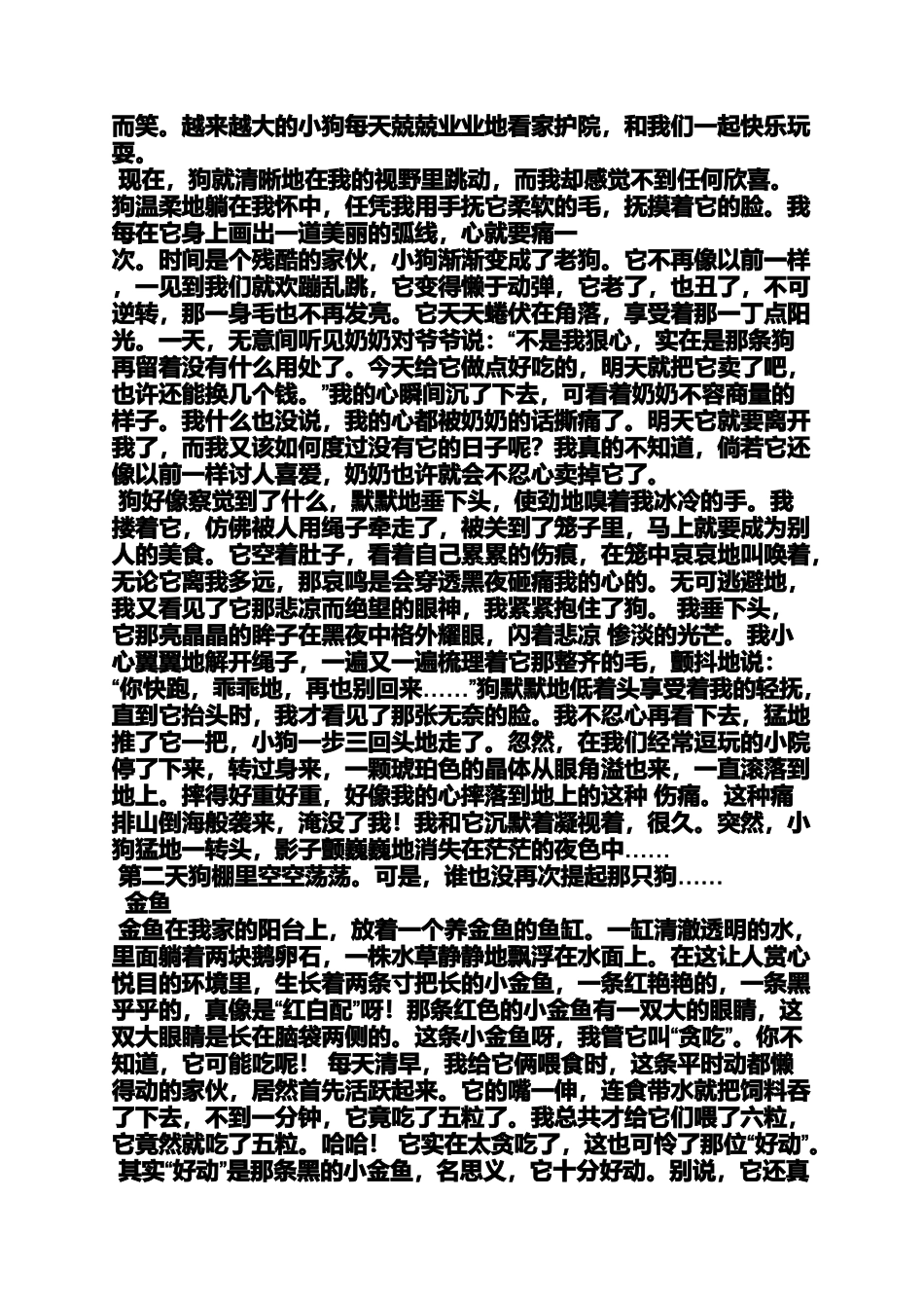 写人作文之写人与动物之间的作文_第2页