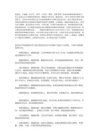 养猪技术把麸皮