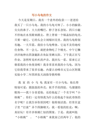 写小乌龟的作文