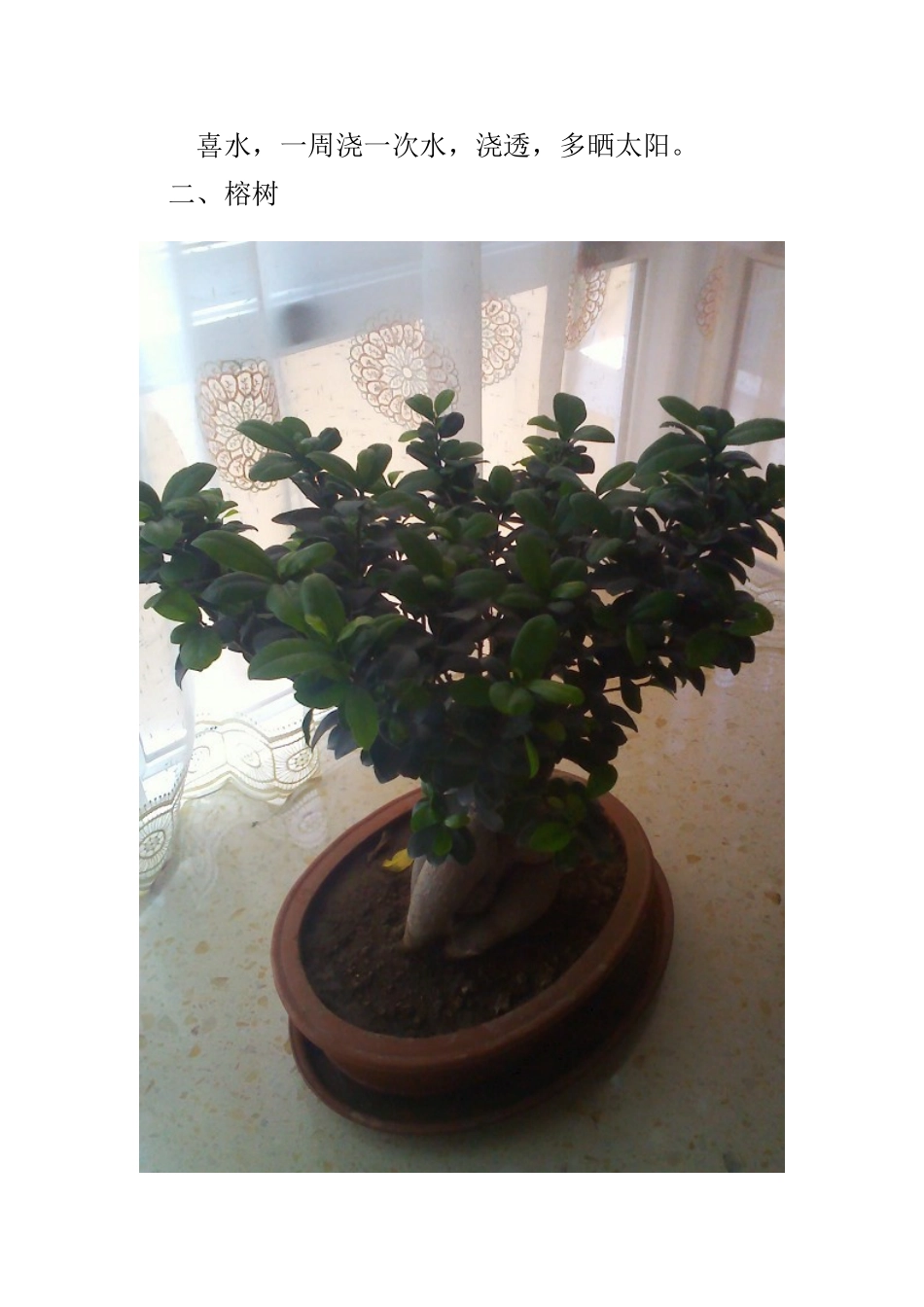 养花经验交流_第2页