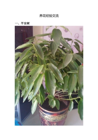 养花经验交流