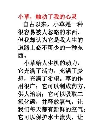 写一写有所感悟的事物