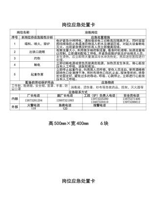 冶炼二厂岗位应急处置卡(定稿)