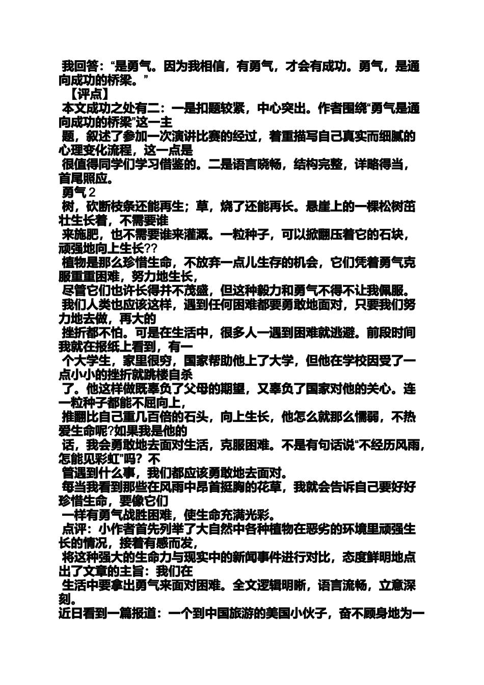 勇气作文之勇气叙事作文_第2页
