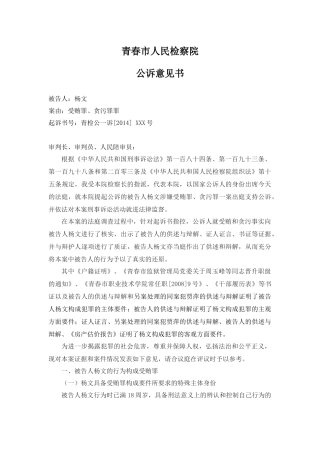 刑事公诉意见书