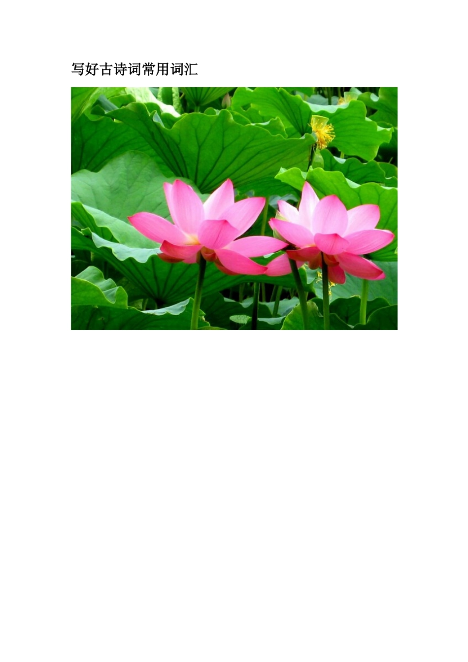 写好古诗词常用词汇_第1页