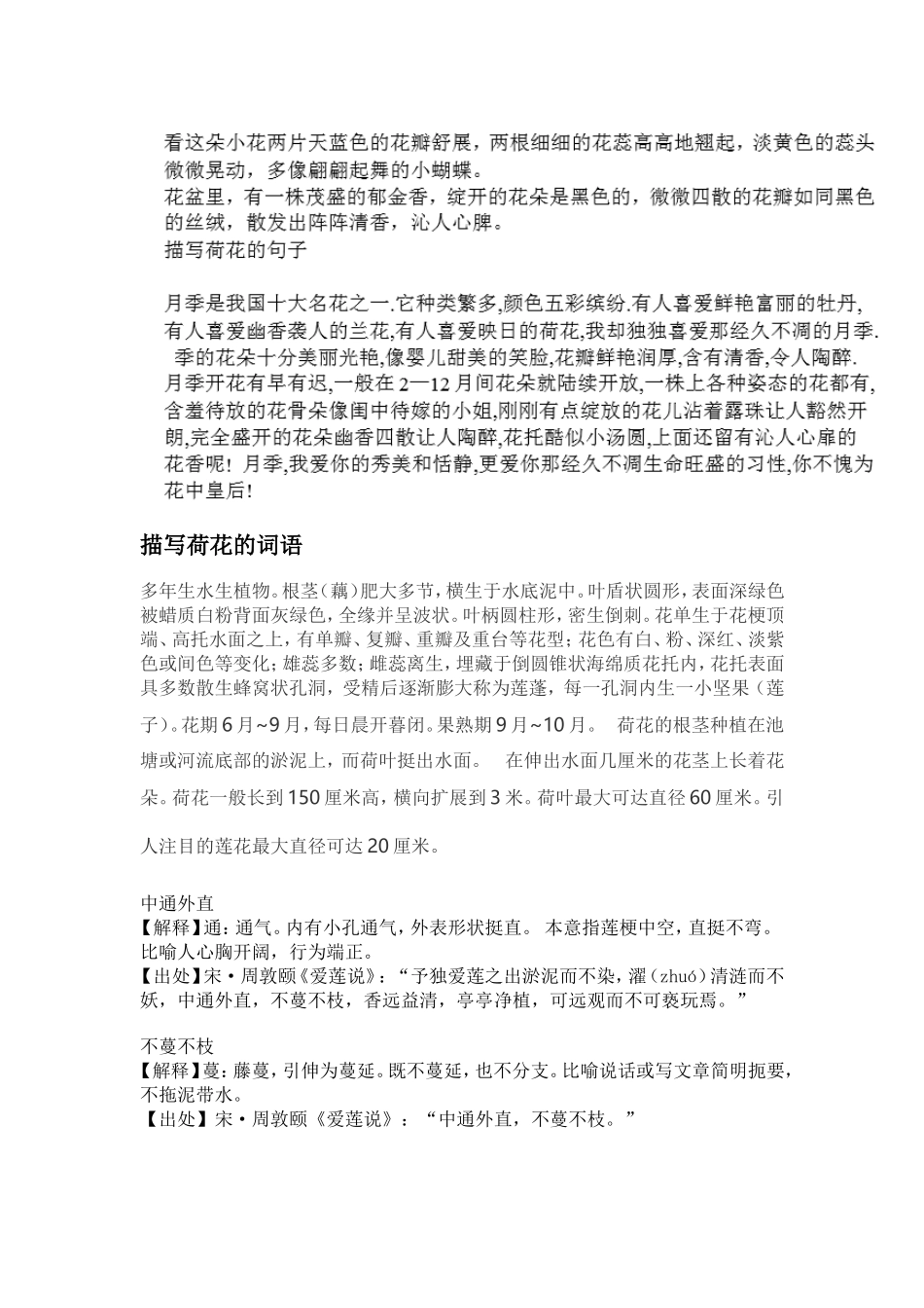 写花的词句段_第2页