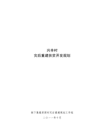 兴丰村规划正文