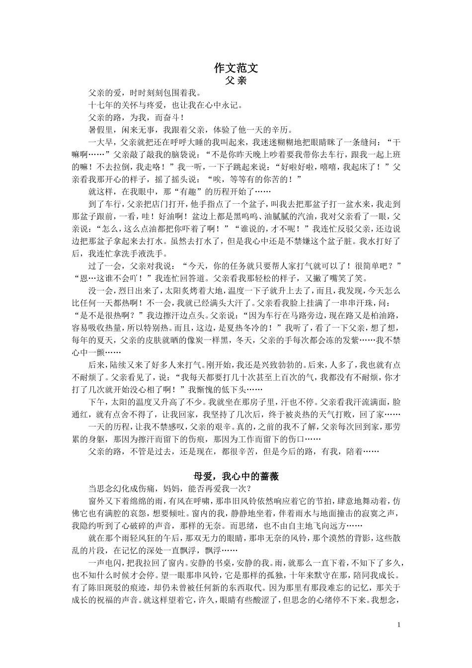 写人记事作文范文_第1页