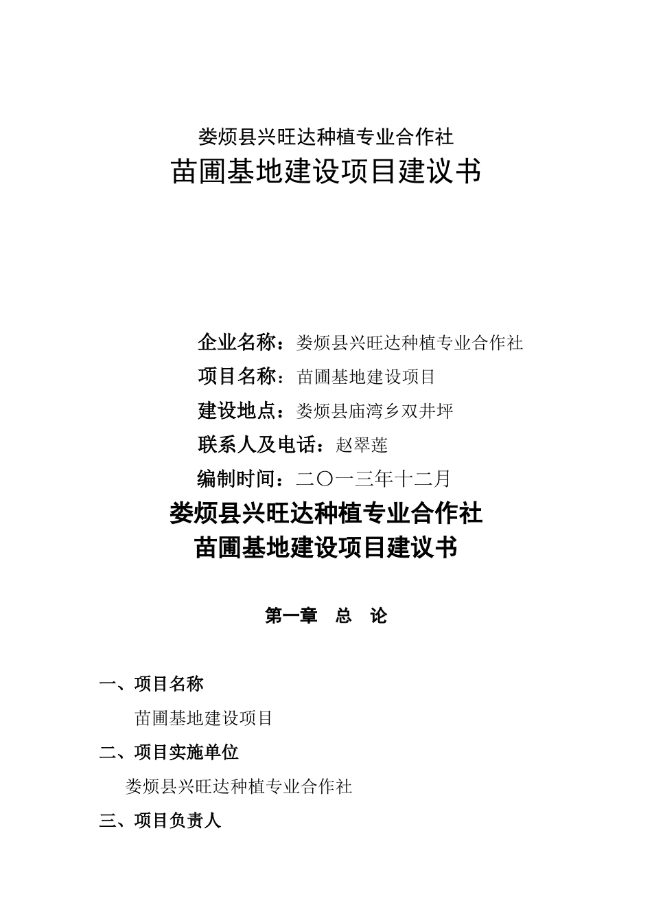 兴旺达项目建议书_第1页