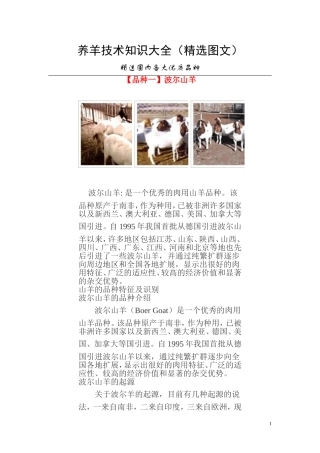 养羊技术知识大全(精选图文)