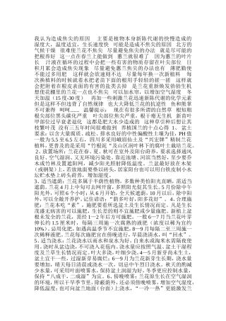 养植国兰的十点心得
