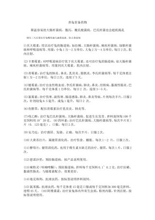 养殖兔子常备药品