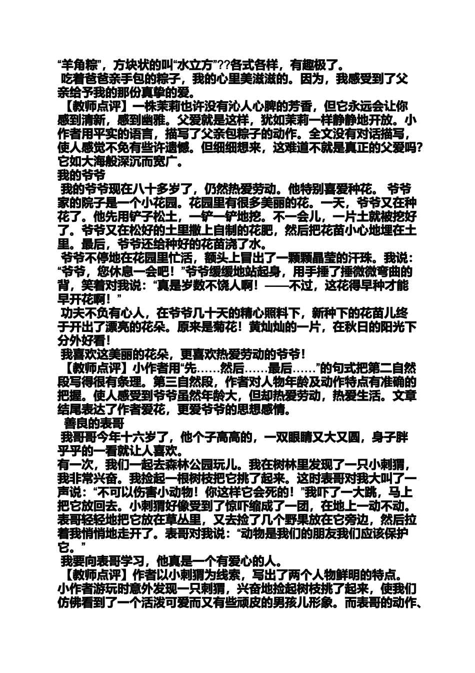 写人作文之写人记叙作文_第2页