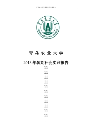 传播1102班周光辉社会实践报告