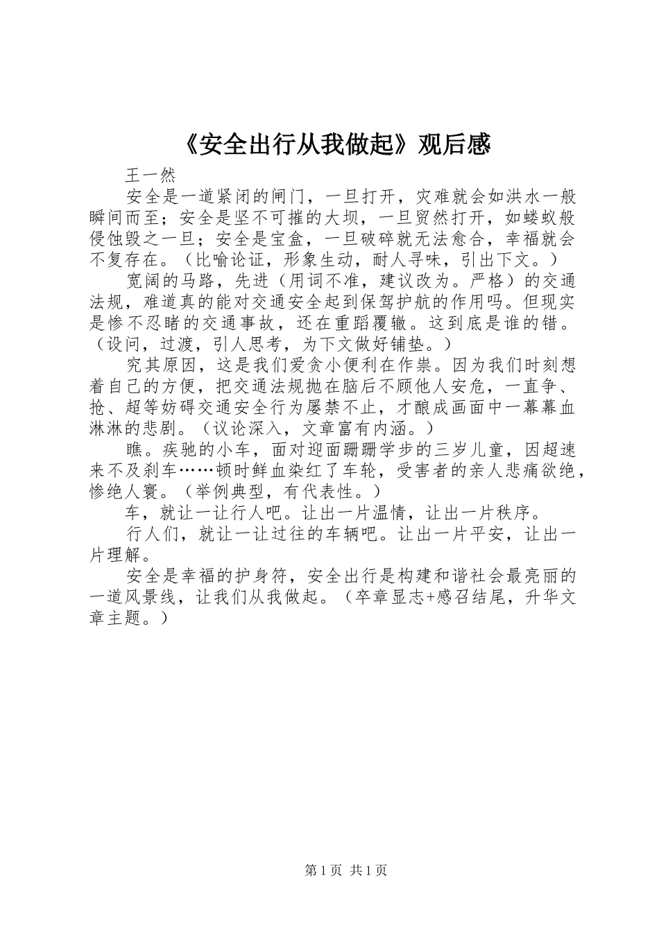 安全出行从我做起观后感_第1页
