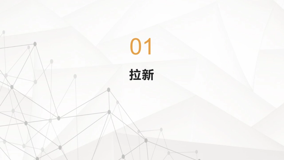 APP用户运营_第3页