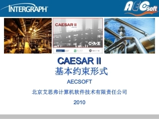CAESARII基本约束形式解析