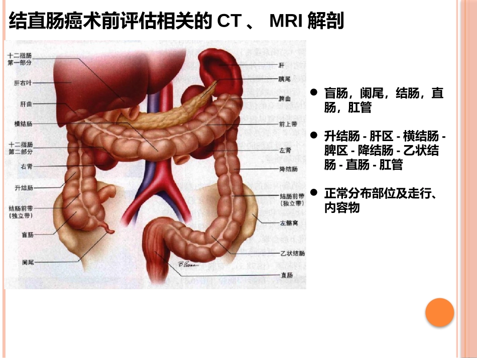 CTMRI在结直肠癌中的_第3页
