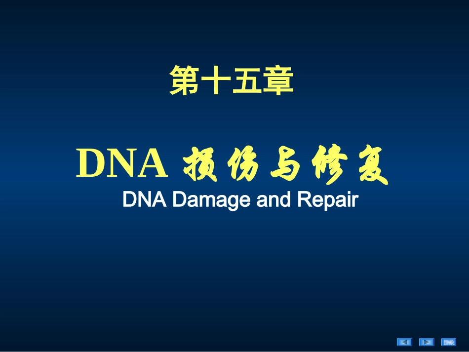DNA损伤和修复_第1页