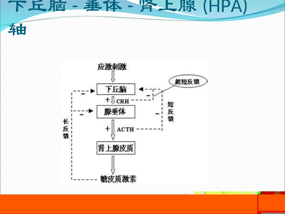 ICU常见内分泌系统疾病_第2页