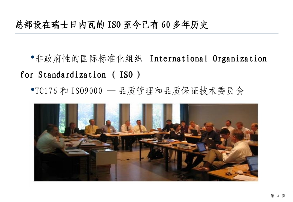 ISO9001质量管理体系_第3页