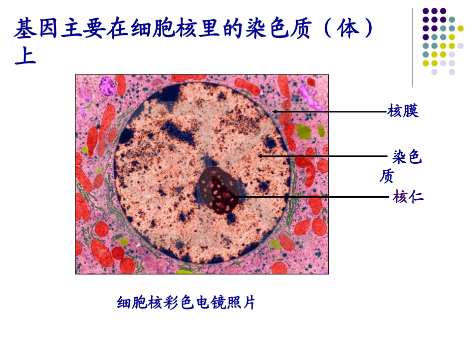 P450用药解读_第3页