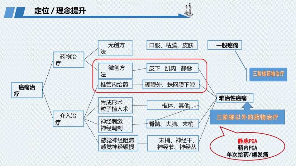 PCA镇痛技术在难治性癌痛治疗中的应用精讲_第3页