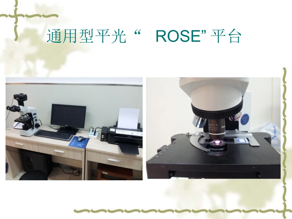 ROSE在肿瘤方面的应用_第3页