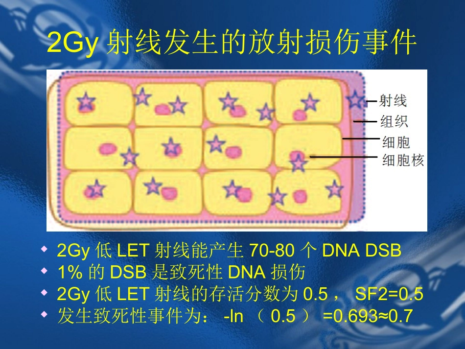 SBRT的临床放射生物学模型_第3页