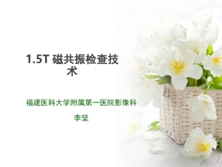 T磁共振检查技术